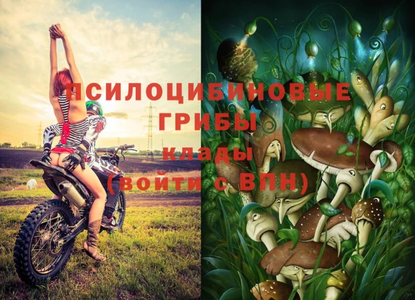 хмурый Куйбышев