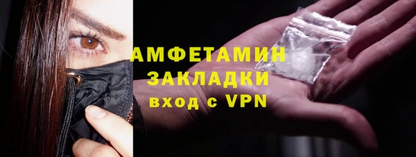индика Кулебаки