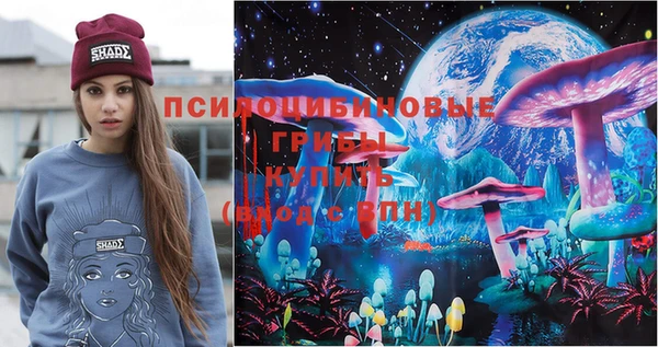 spice Абинск